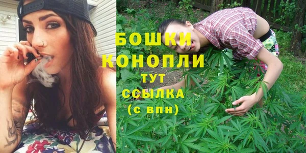 PSILOCYBIN Белокуриха