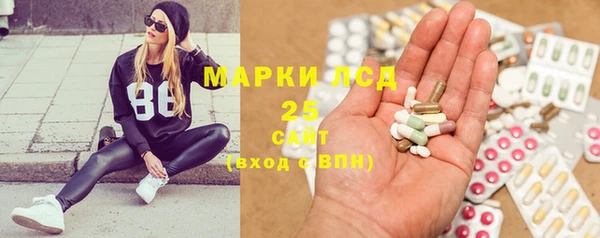PSILOCYBIN Белокуриха